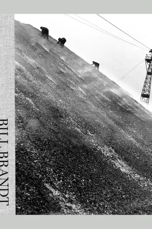 Bill Brandt (Fundación Mapfre) Shop Nu