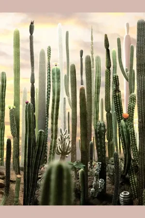 Betrouwbaar Ruud van Empel: 25 Years of Photo Works 1995-2020