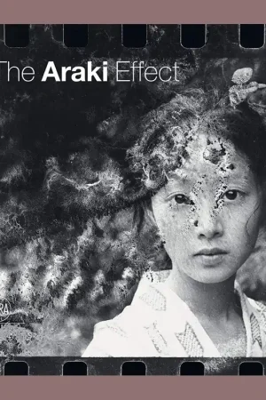 The Araki Effect Beperkte Voorraad