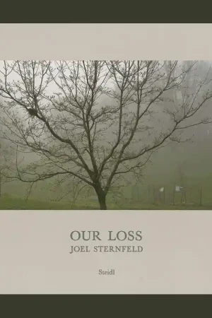 Goedkoop Joel Sternfeld: Our Loss