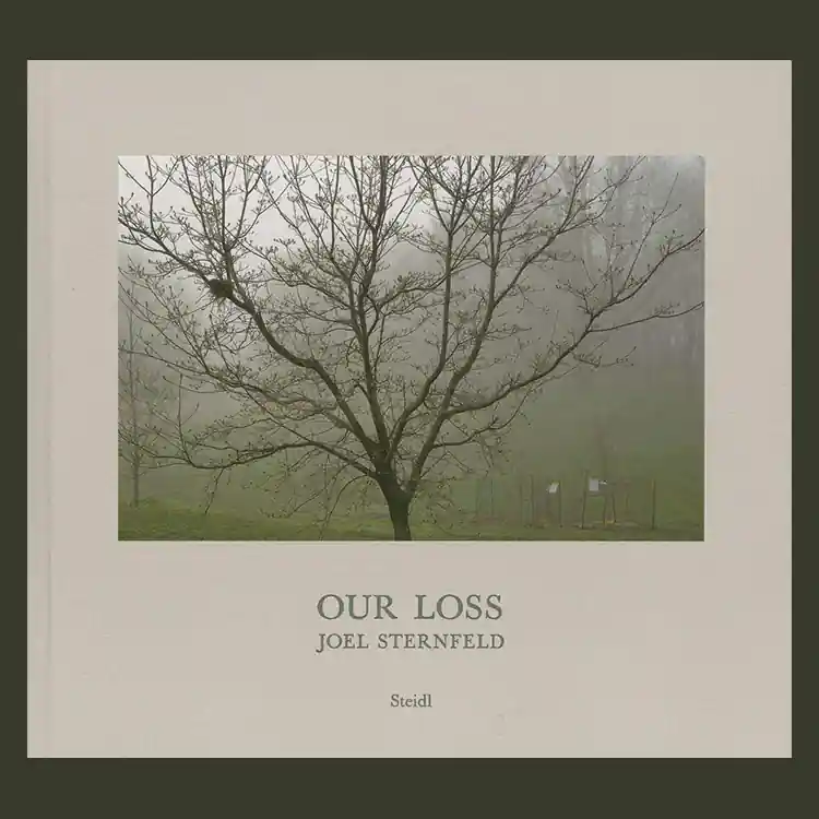 Goedkoop Joel Sternfeld: Our Loss