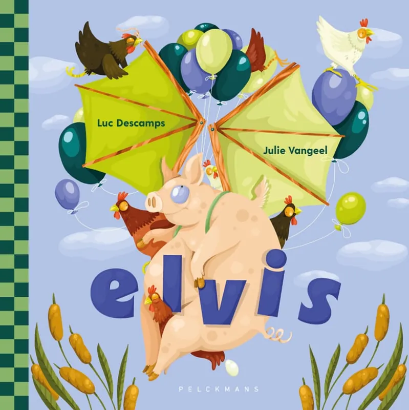 Aanbieding Elvis