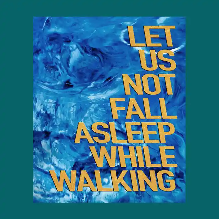 David Denil: Let Us Not Fall Asleep While Walking Veilige Betaling