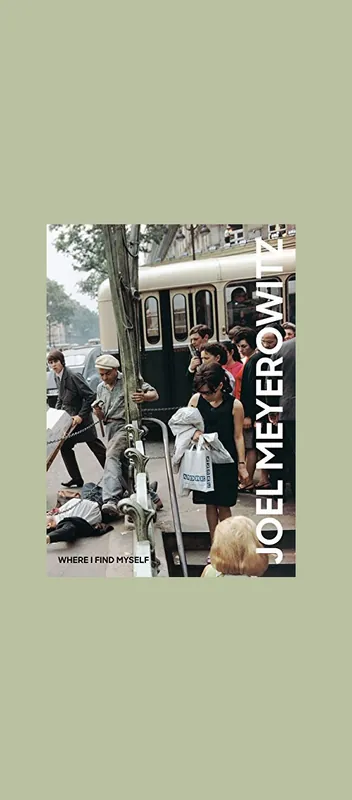Hoge Kwaliteit Joel Meyerowitz: Where I Find Myself
