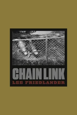 Lee Friedlander: Chain Link Gecertificeerd