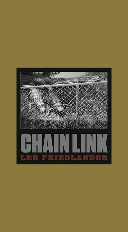 Lee Friedlander: Chain Link Gecertificeerd
