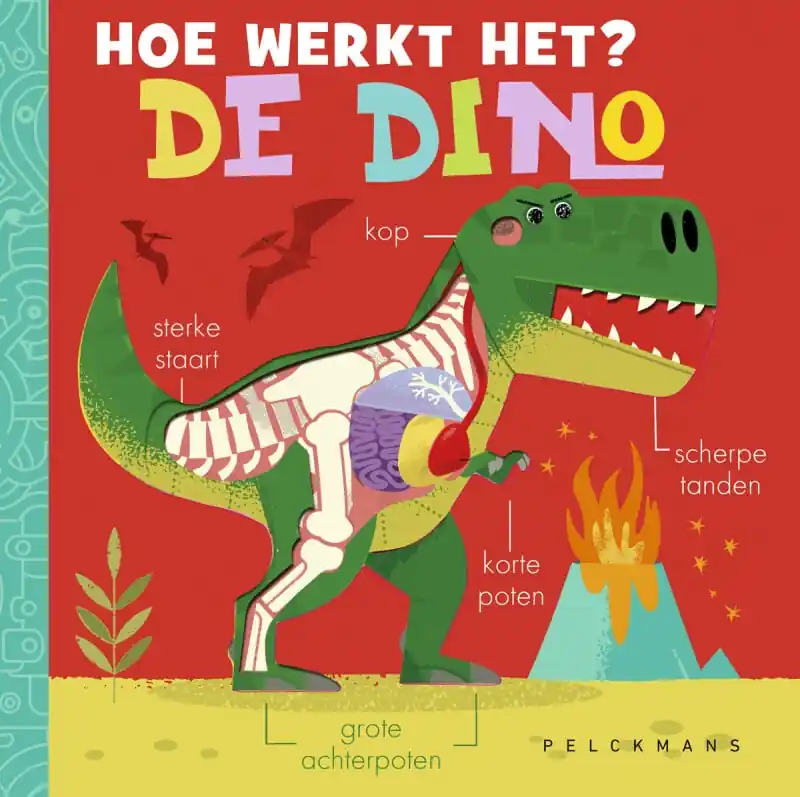 Meest Verkocht Hoe werkt het? De Dino