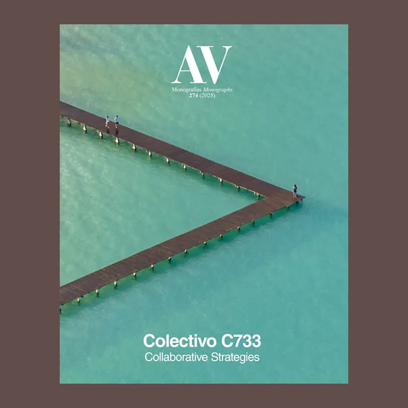 Beperkte Voorraad Colectivo C733: Collaborative Strategies (AV Monograph 274)