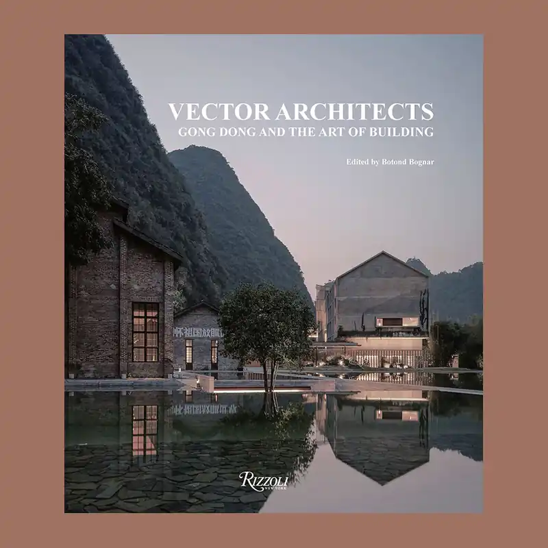 Beperkte Voorraad Vector Architects: Gong Dong and the Art of Building
