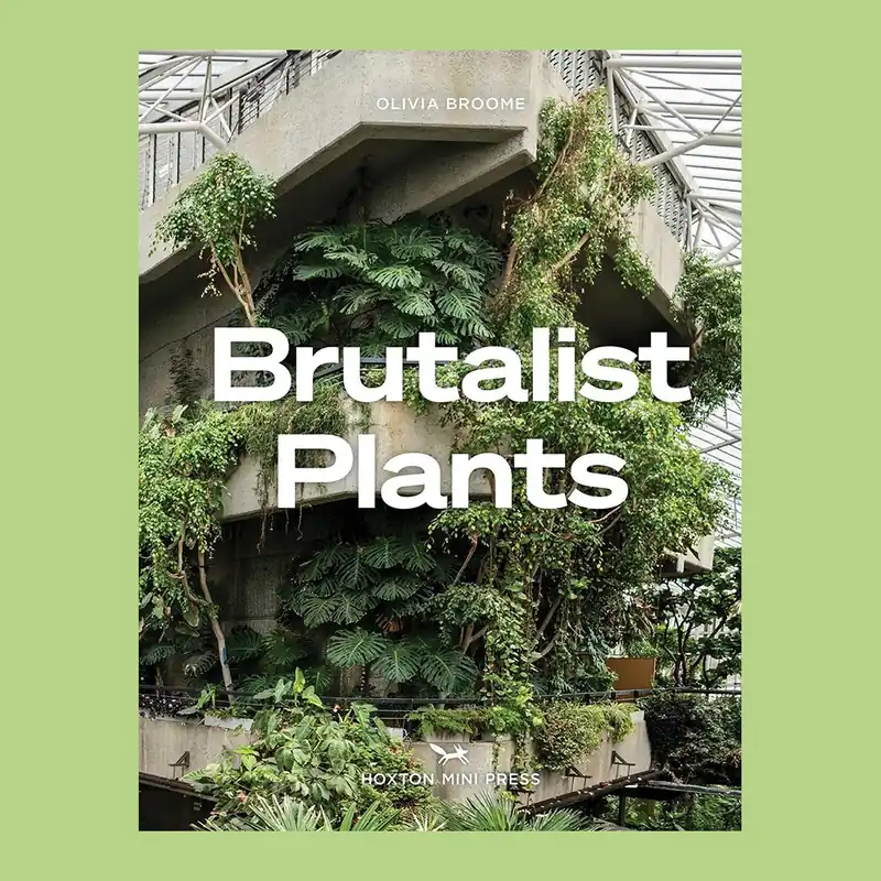Bestel Nu Brutalist Plants