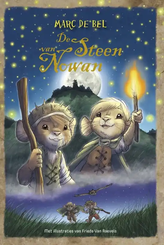 Nieuw De steen van Nowan
