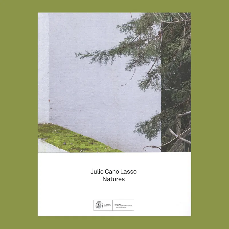 Julio Cano Lasso (1920-1996): Natures Aanbieding