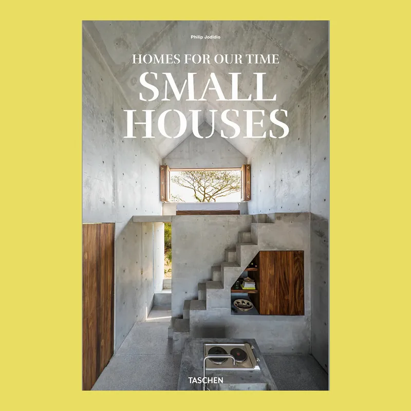 Betrouwbaar Small Houses: Homes for Our time