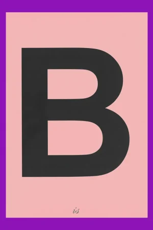 Uitverkoop B Is: A Story through Projects from B-architecten, B-bis and B-city