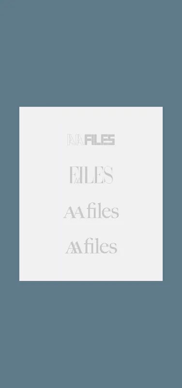 Koopje AA Files X