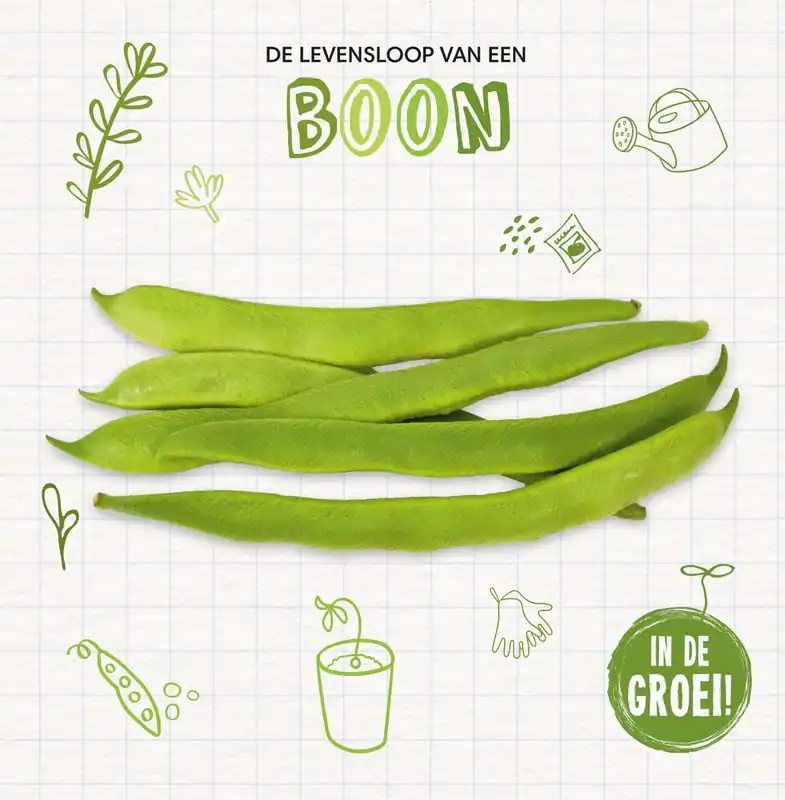 In de groei! – De levensloop van een boon Betaalbaar