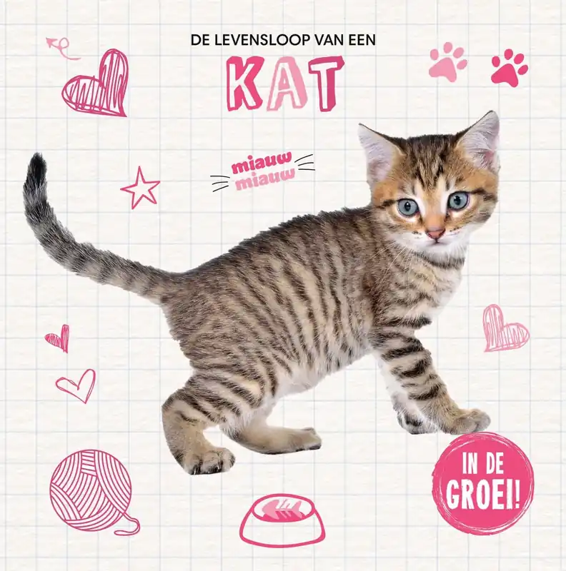 Seizoensaanbieding In de groei! – De levensloop van een kat