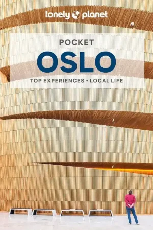 Rechtstreeks Van De Fabrikant Reisgids Pocket Oslo | Lonely Planet (9781787017481)