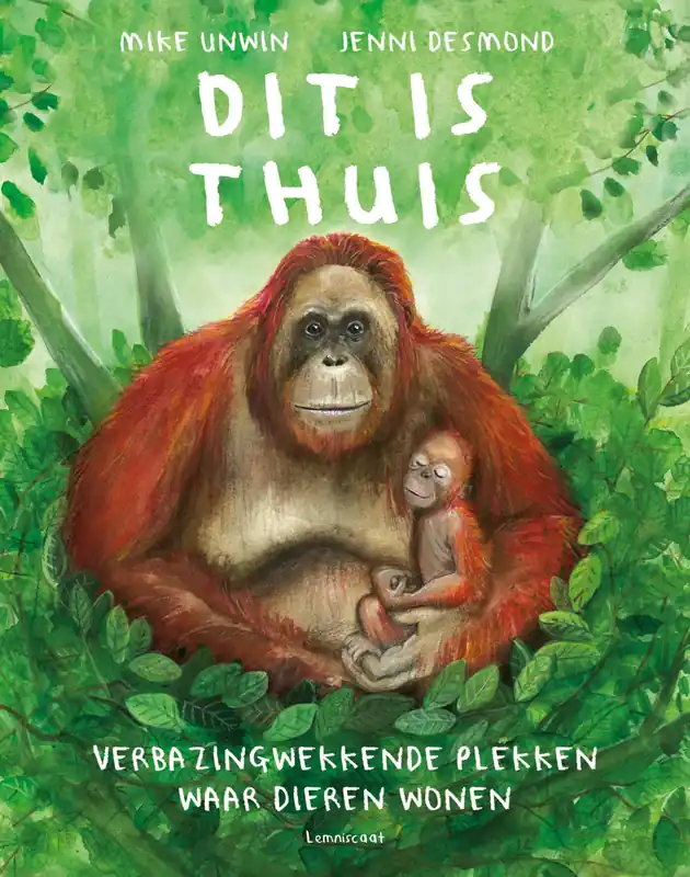 Veilige Betaling Dit is thuis