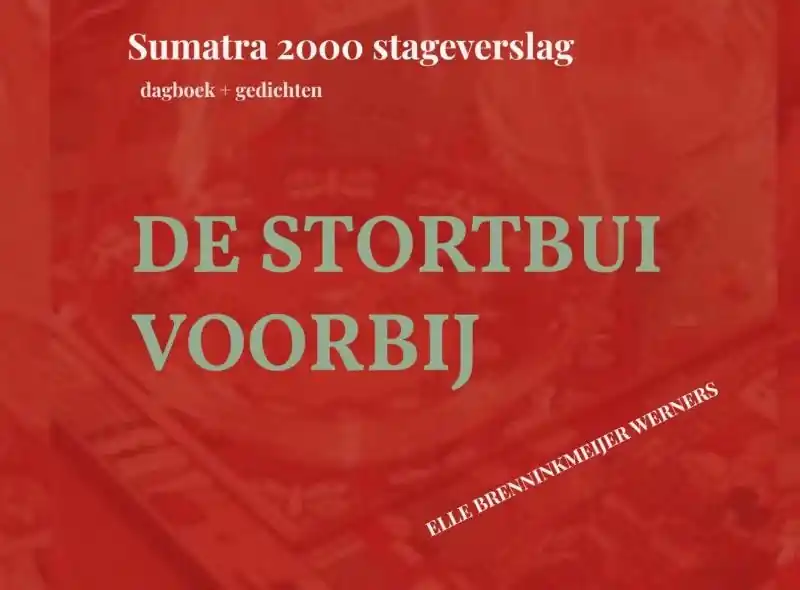 Dagaanbieding Reisverhaal DE STORTBUI VOORBIJ | Elle Brenninkmeijer-Werners (9789403733098)