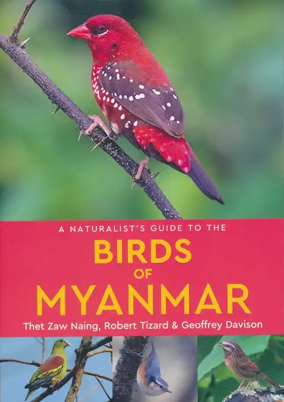 Vogelgids a Naturalist's guide to the Birds of Myanmar | John Beaufoy (9781909612723) Bestel Nu