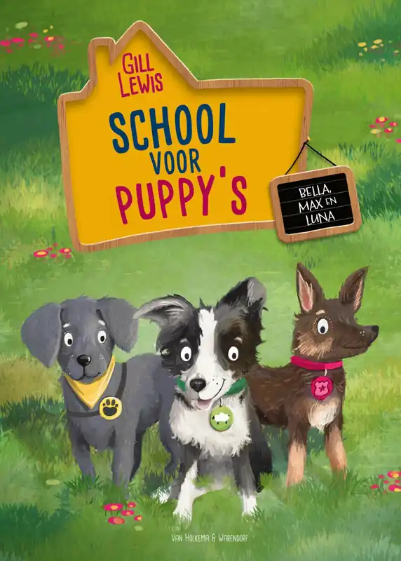 Rechtstreeks Van De Fabrikant School voor puppy's – Bella, Max en Luna