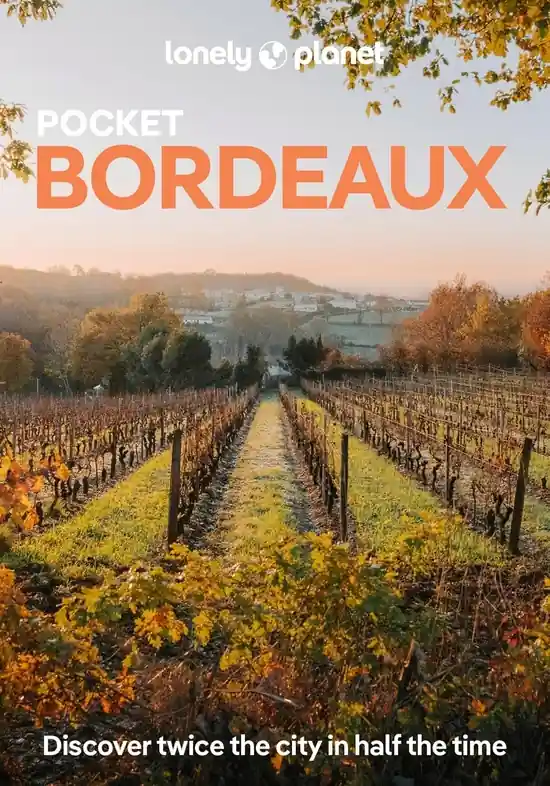 Finale Uitverkoop Reisgids Pocket Bordeaux | Lonely Planet (9781838698751)