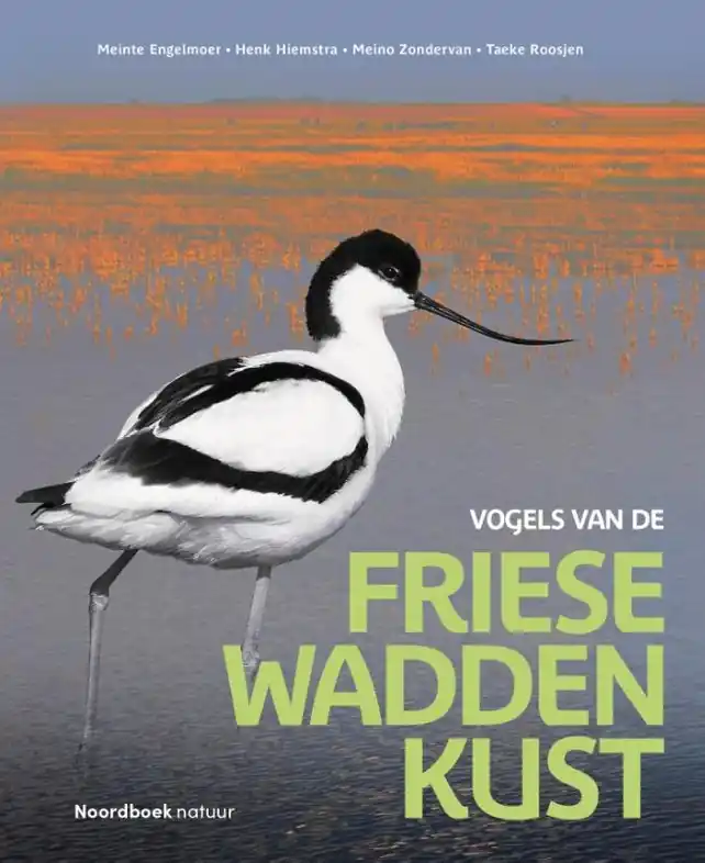 Dagaanbieding Vogelgids Vogels van de Friese Waddenkust | Uitgeverij Noordboek (9789464713282)