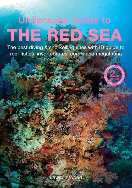 Duikgids - Natuurgids An Underwater Guide to the Red Sea - Rode Zee | John Beaufoy (9781913679361) Koop Vandaag
