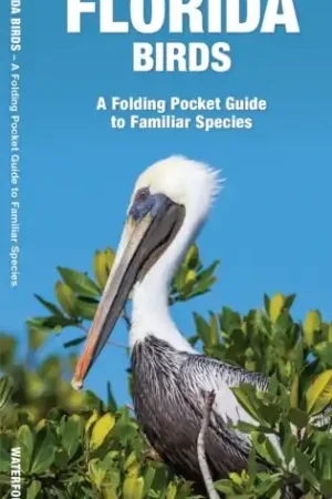Betrouwbaar Vogelgids Florida Birds | Waterford Press (9781583551059)