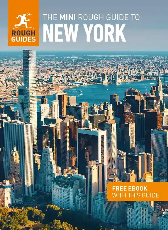 Reisgids Mini Rough Guide New York | Rough Guides (9781785732379) Koop Vandaag