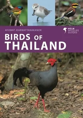 Premium Vogelgids Birds of Thailand | Bloomsbury (9781399414715)