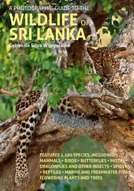 Natuurgids A Photographic Guide to Wildlife of Sri Lanka | John Beaufoy (9781913679187) Nu Kopen