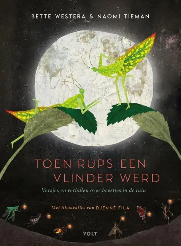 Toen rups een vlinder werd Speciale Aanbieding