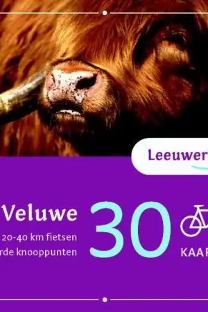 Bestseller Fietsgids Leeuwerikroutes Leeuwerikroutes | Buijten & Schipperheijn (9789058814050)