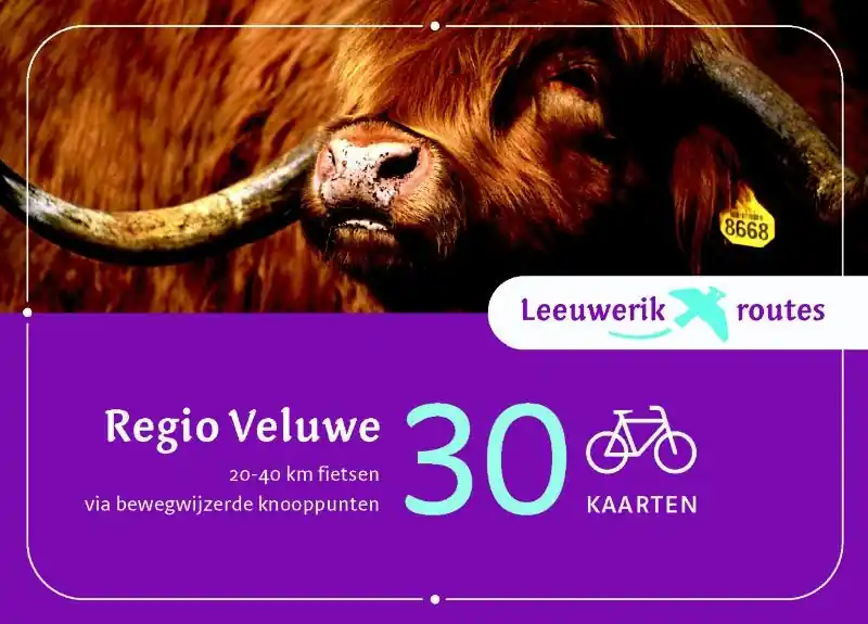 Bestseller Fietsgids Leeuwerikroutes Leeuwerikroutes | Buijten & Schipperheijn (9789058814050)