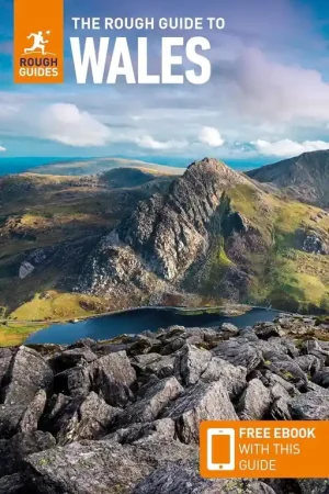 Beste Prijs Reisgids Wales | Rough Guides (9781839059971)