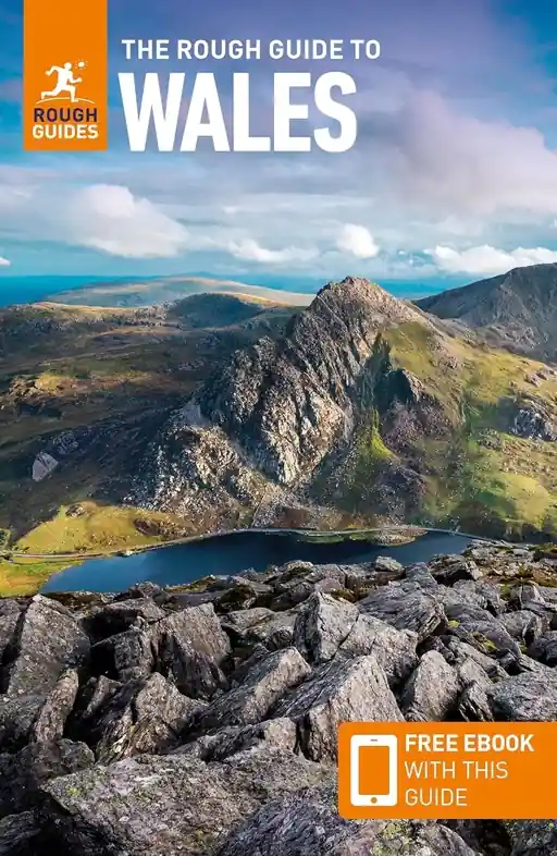 Beste Prijs Reisgids Wales | Rough Guides (9781839059971)