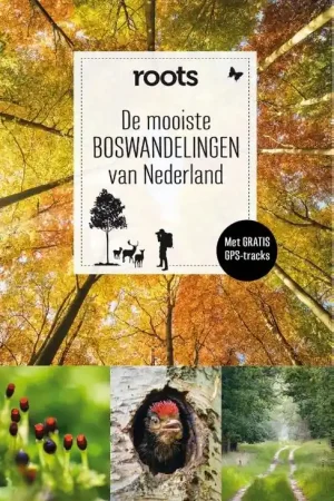 Actieprijs Wandelgids De mooiste boswandelingen van Nederland | Fontaine Uitgevers (9789059568815)