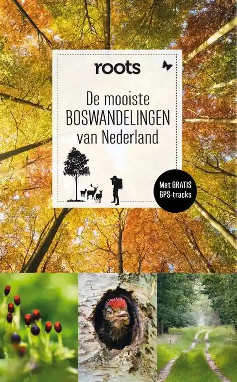 Actieprijs Wandelgids De mooiste boswandelingen van Nederland | Fontaine Uitgevers (9789059568815)
