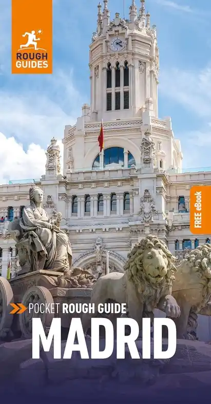 Laatste Kans Reisgids Rough Guide Pocket Madrid | Rough Guides (9781789194722)
