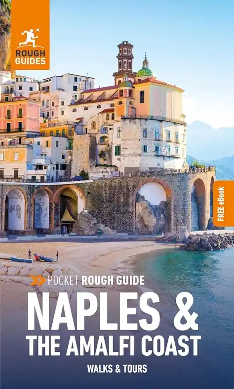 Betrouwbaar Reisgids Pocket Rough Guide Naples & the Amalfi Coast | Rough Guides (9781839059995)