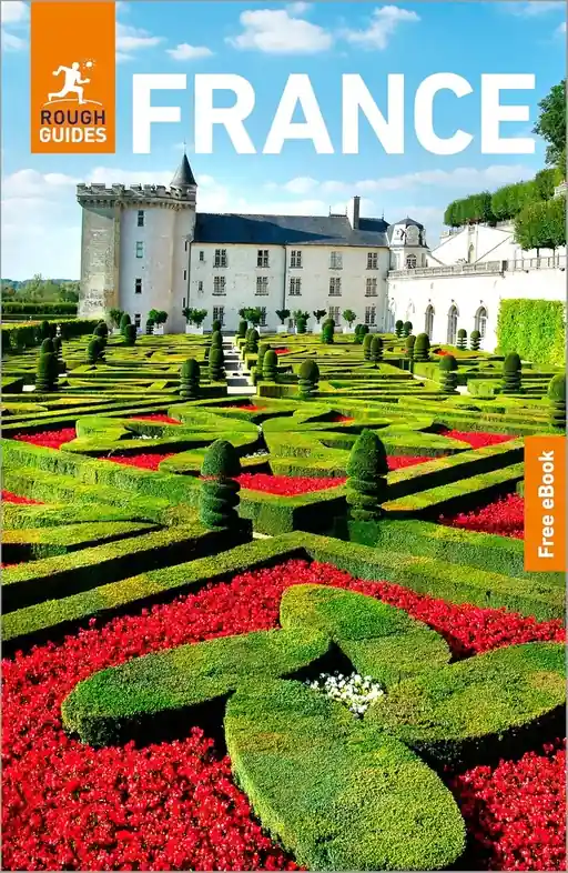 Reisgids France - Frankrijk | Rough Guides (9781835294215) Laatste Kans