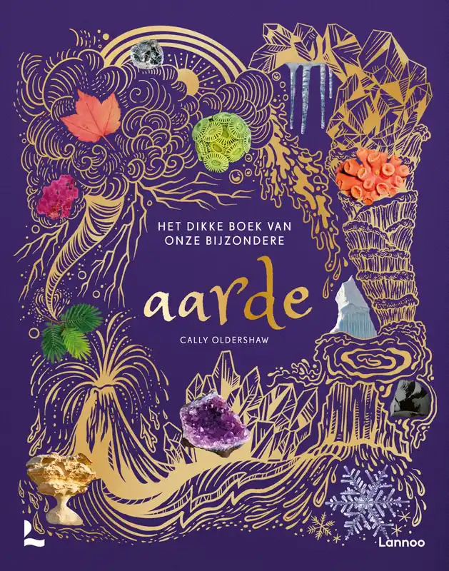 Flitsaanbieding Het dikke boek van onze bijzondere aarde