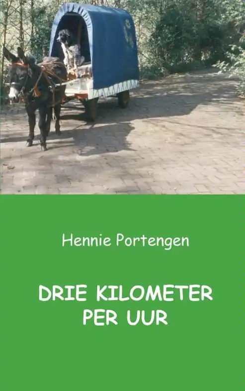 Reisverhaal Drie kilometer per uur | Hennie Portengen (9789461936301) Superprijs
