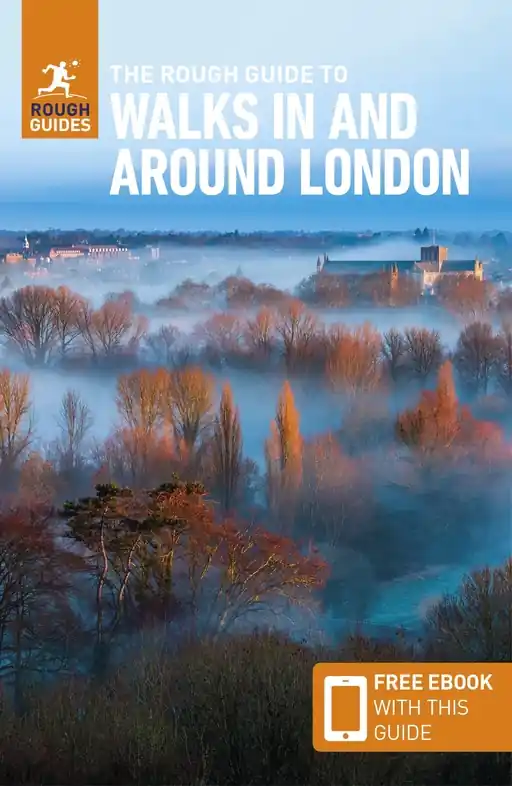 Reisgids Walks in and around London | Rough Guides (9781839058493) Aanbieding