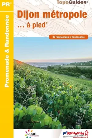 Wandelgids P211 Dijon métropole... à pied | FFRP (9782751411977) Gratis Retour