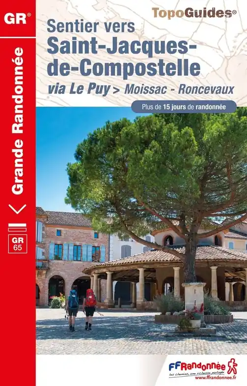 Wandelgids 653 Sentier vers Saint-Jacques-de-Compostelle via Le Puy Moissac - Roncevaux GR65 | FFRP (9782751412622) Bestseller