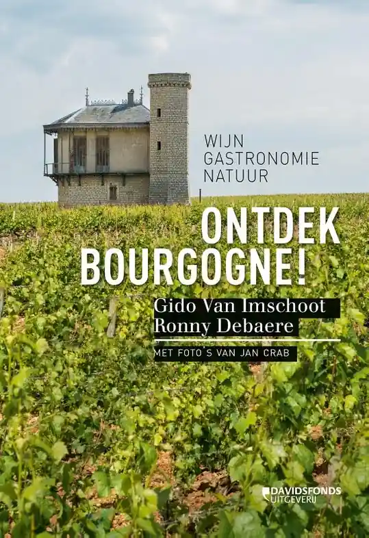 Reisgids Ontdek Bourgogne | Davidsfonds (9789059087736) Express Levering