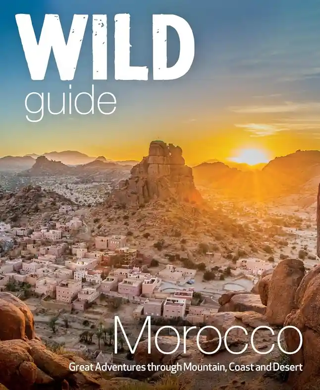 Actieprijs Reisboek Wild Guide Morocco | Wild Things Publishing (9781910636510)